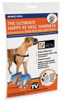 Ancol Harness Lead and DVD 7-8 Large
