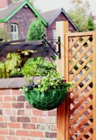 Ambassador 16" Hanging Basket Bracket Black