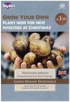 Taylors Grow-Your-Own Pentland Javelin Seed Potatoes - 10 Seed Potatoes