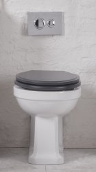 Tavistock Vitoria Back-to-Wall Toilet