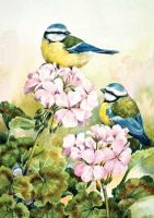 Birthday Card - Blue Tits on Floral - Galleria - Ling Design