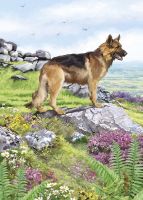 Birthday Card - German Shepherd Dog - Country Cards