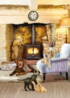 Birthday Card - Puppies Dog Living Room Log Burner  - Country Cards