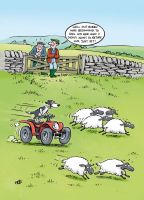 Birthday Card - Rounding Up The Sheep - Funny - Country Cards