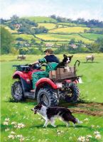 Birthday Card - Checking The Sheep - Quad Bike Farmer - Country Cards