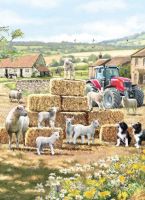 Birthday Card - Farm Tractor Collie Dog Sheep Lambs - Country Cards