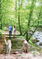Birthday Card - River Walk Stroll Dog - Country Cards