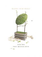 Birthday Card - You're Try-Mend-Ous Rugby - Gardener's Bothy Ling Design