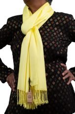 Pashmina Scarf