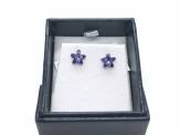 Byzantium Starbloom Montana Crystal Stud Earrings