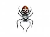 Silver Amber Spider Brooch