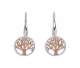 Silver Drop Earrings With Rose Gold Plaiting