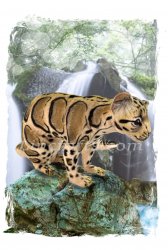 Greeting Card featuring Hansa Soft Toy Clouded Leopard. LDA C7