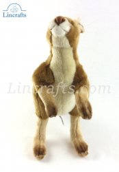 Kangaroo by Hansa (36cm) 4900