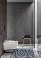 Geberit Sigma 50 Smoked Glass Reflective Dual Flush Plate