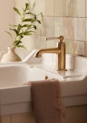 Tavistock Lansdown Mono Basin Mixer with Click Waste - Brushed Brass