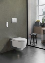 Geberit Sigma 30 Matt Chrome/Gloss Chrome/Matt Chrome Anti-Fingerprint Dual Flush Plate