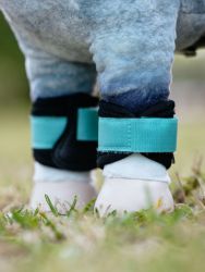 Lemieux Toy Pony Accessories - Lagoon Grafter Boots - Set of 2