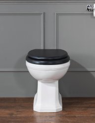 Silverdale Empire Back-to-Wall Toilet