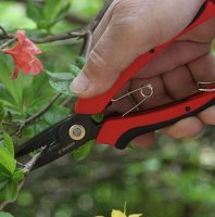Darlac Cut'n'Hold Flower Snips