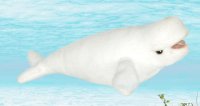 Soft Toy Beluga Whale by Hansa (25cm) 6631