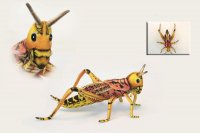 Soft Toy Locust Grasshopper by Hansa (35cm) 6569