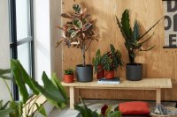 elho B.For Soft Round Plant Pot 25cm - Anthracite