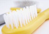 Ancol Small Animal Bristle Brush