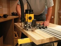 DeWalt DWS5031 Router Attachment for Guide Rail
