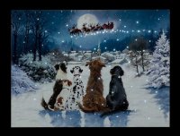 SnowTime Battery Operated Fibre Optic Canvas 40 x 30cm - Christmas Dogs