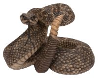 Vivid Arts Rattlesnake - Lifelike Garden Ornament L25cm - Indoor or Outdoor