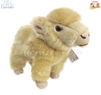 Plush Soft Toy Highland Calf, Isla, by Faithful Friends (17cm)H FHC25