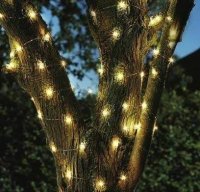 Eureka Lighting 50 Battery Firefly Strings Warm White