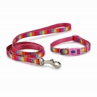 Ancol Rainbow Collar Lead Set - Pink