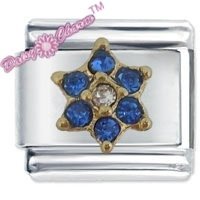 September Flower Birthstone Italian Charm