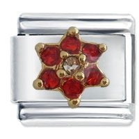 Flower July Birthstone Italian Charm