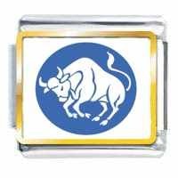 Taurus Zodiac Photo Italian Charm