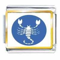 Scorpio Zodiac Photo Italian Charm
