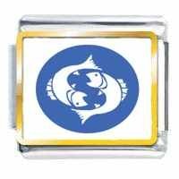 Pisces Zodiac Photo Italian Charm