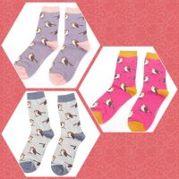 Ladies Robin Bird Socks - Bamboo - Miss Sparrow - 3 Colours