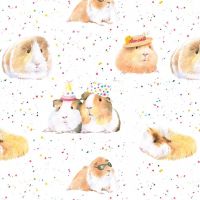 Guinea Pig Party Wrapping Paper 2 Sheets & 2 Tags - Arty Penguin