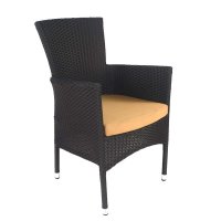 Byron Manor Stockholm Chairs (Set of 2) - Black