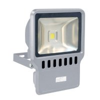 Eagle 100w LED Floodlight 5000k Grey - (L320JG)