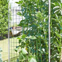 Smart Garden PVC Coated WeldMesh Panel 50mm Green 0.6 x 0.9M
