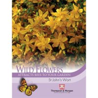 Thompson & Morgan Wild Flower St Johns Wort