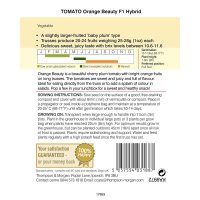 Thompson & Morgan Tomato Orange Beauty F1 Hybrid