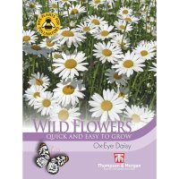 Thompson &  Morgan Wild Flower Ox-Eye Daisy