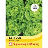 Thompson & Morgan Lettuce Tom Thumb(Butterhead)