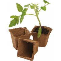 Garland 6cm Square Fibre Pots - Pack of 20