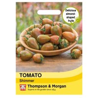 Thompson & Morgan Tomato Shimmer